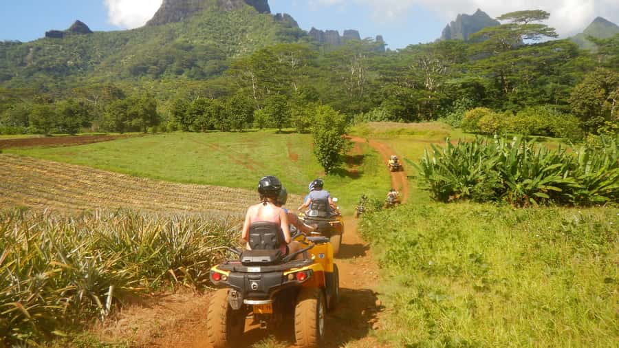 Mo'orea: Guided ATV Nature Tour - Belvedere Lookout: Cook’s and Opunohu Bays From the Same Ride