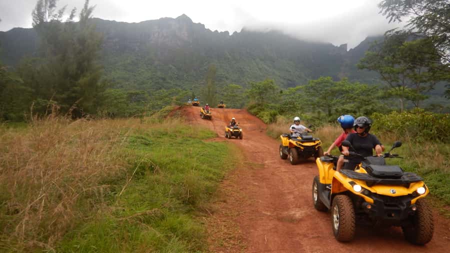 Mo'orea: Guided ATV Nature Tour - Rotui Juice Factory and Distillery: Local Flavors With a View of Production