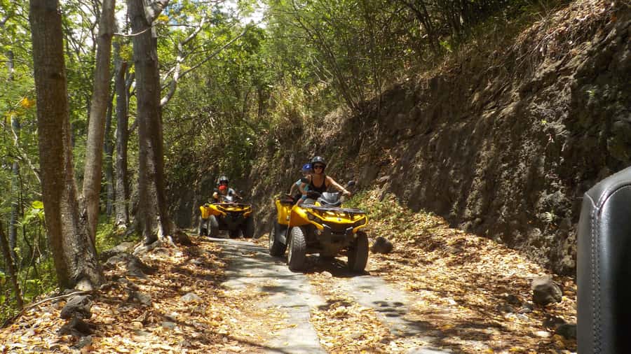 Mo'orea: Guided ATV Nature Tour - Price and Value: Is $123 Worth It?