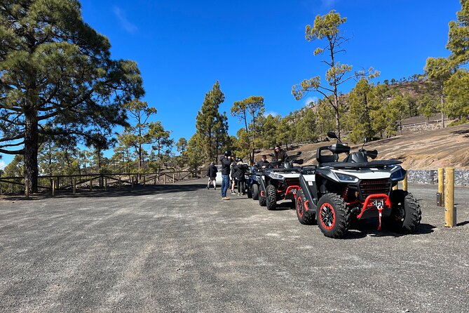 Monster Quad Teide Tour - Monster Quad Teide: what this tour is really like