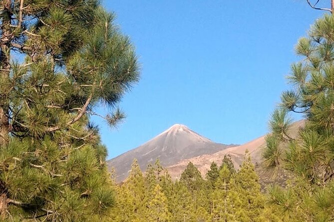 Monster Quad Teide Tour - Price for two: where the value comes from
