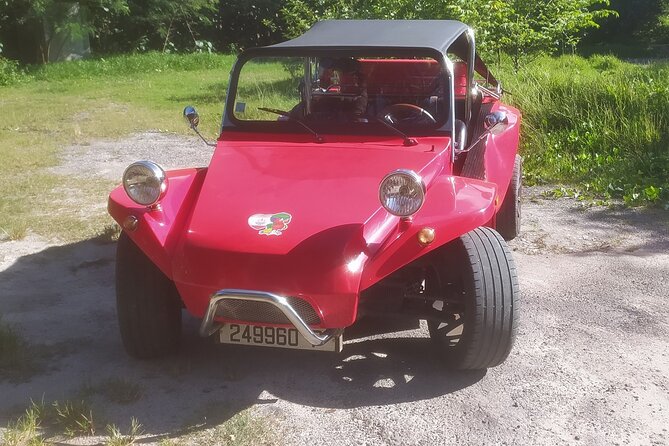 Moorea Buggy Rental - Key Things to Know Before You Go