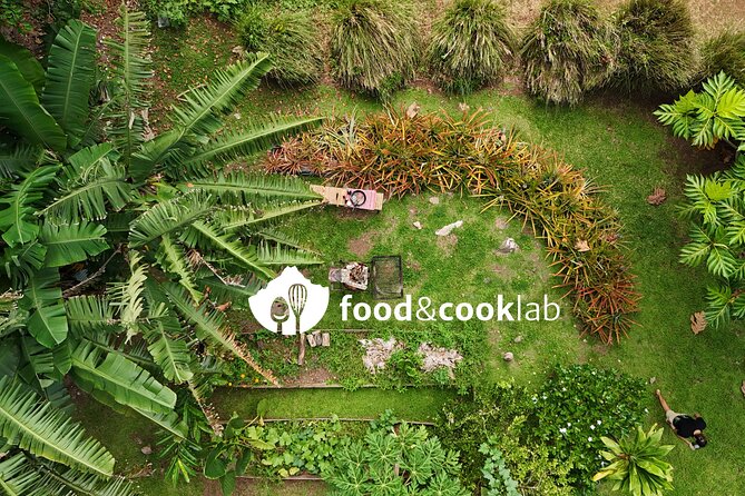 Moorea Buggy Rental - The Real Value: Ease of Handling and an Owner Who Explains Things