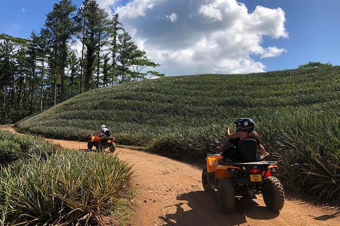 Moorea Explorer Atv Quad Tour - Agricultural school tastings: where the tour gets human
