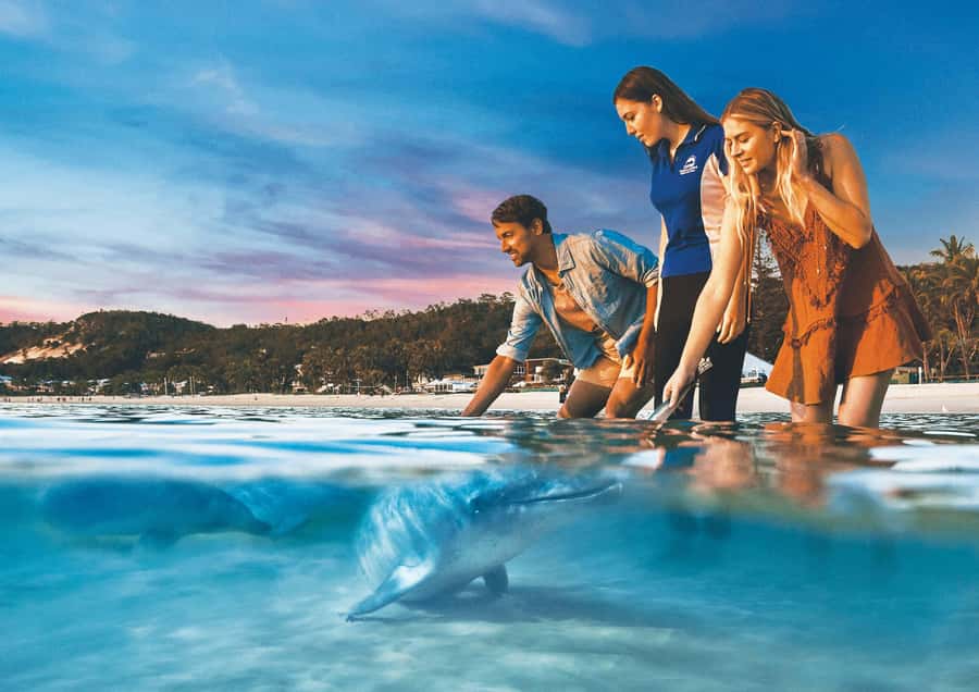 Moreton Island: Tangalooma ATV Quad Bike & Dolphin Feeding - Key points you’ll care about