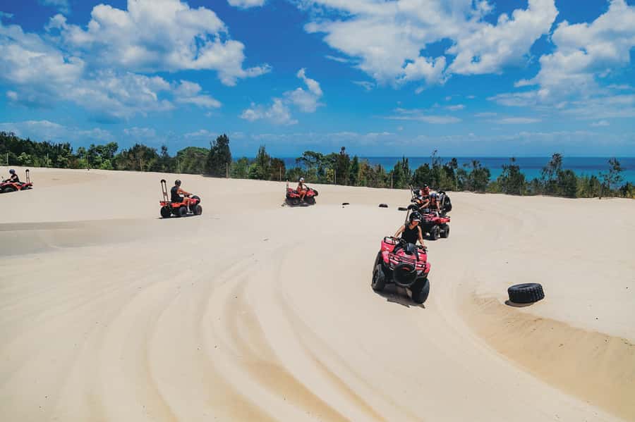 Moreton Island: Tangalooma ATV Quad Bike & Dolphin Feeding - Wild dolphin feeding at Tangalooma: magic with rules
