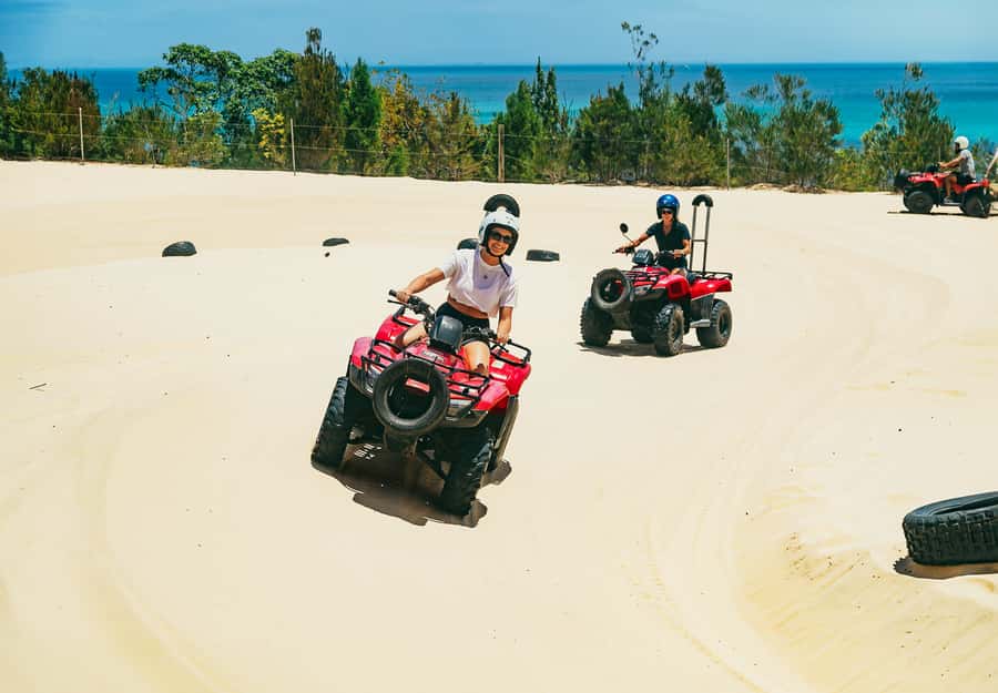 Moreton Island: Tangalooma ATV Quad Bike & Dolphin Feeding - Price and value: why $172 can work (or not)