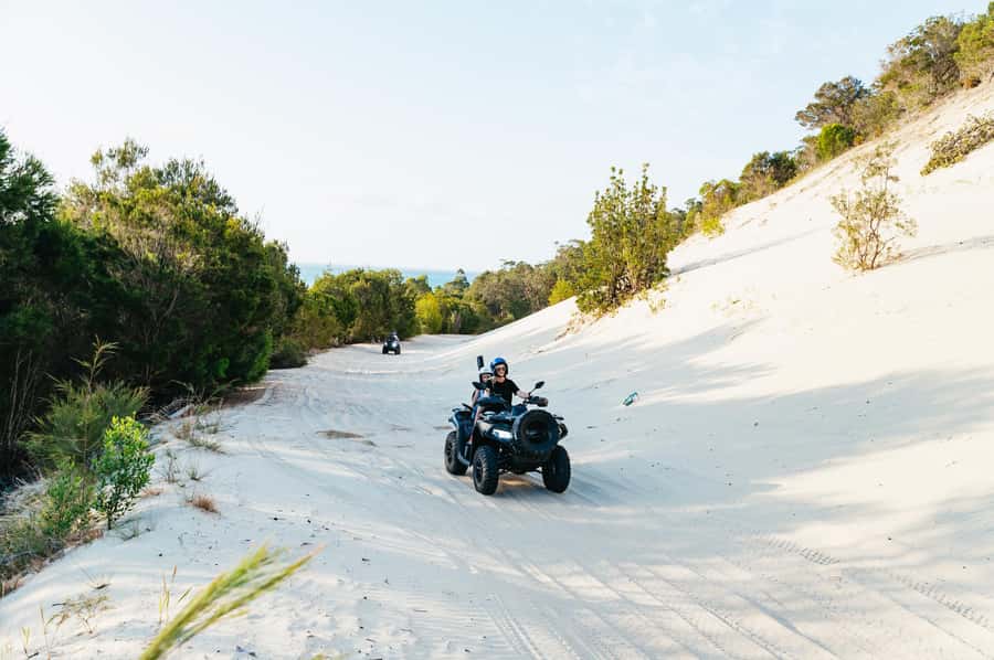 Moreton Island: Tangalooma Day Trip with ATV Quad Bike Tour - Eco Centre and Wildlife Talks: Dolphins at 3:15pm