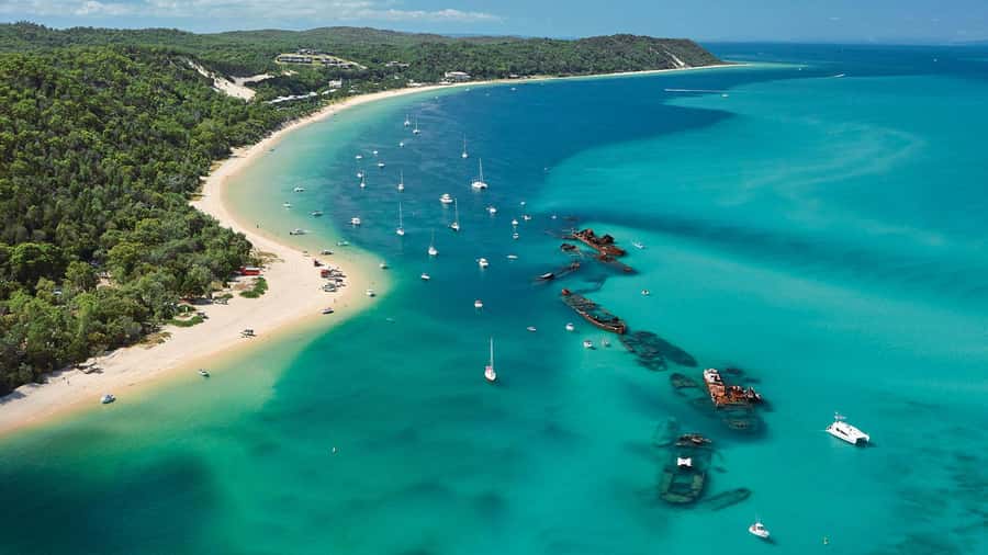 Moreton Island: Tangalooma Day Trip with ATV Quad Bike Tour - Value for Money: Why This Can Beat a DIY Day Trip