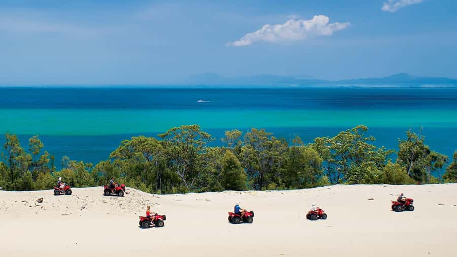 Moreton Island: Tangalooma Day Trip with ATV Quad Bike Tour - Who This Day Trip Suits (and Who Should Reconsider)