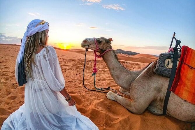 Morning Desert Safari with Quad Bike, Camel Ride & Sandboarding - Dune bashing: the adrenaline segment (and the safety choice you should take seriously)