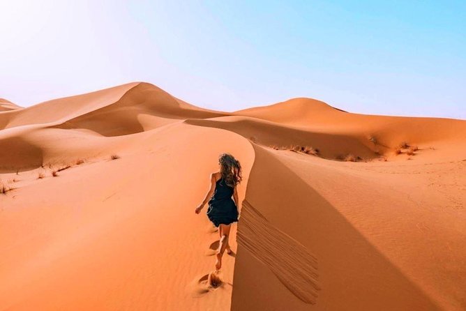 Morning Desert Safari with Quad Bike, Sand Boarding and Camel Ride - What Makes This 4-Hour Format Good Value at $109