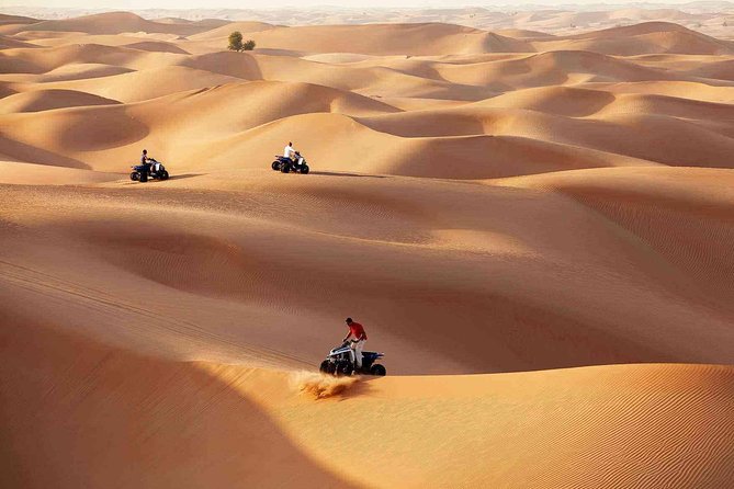 Morning Desert Safari with Quad Bike Tour Abu Dhabi - Dune bashing in a 4x4: where most people say the fun starts