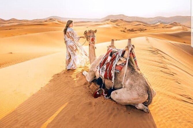 Morning Desert Safari With Quad Biking and Sandboarding - Land Cruiser pickup and private group: what you’re actually buying