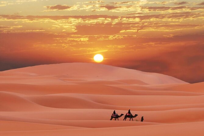 Morning Quad Biking & Red Sand Desert Safari , Camel Ride, Sand Boarding - Dune Bashing to the Camp: The Thrill You Feel in Your Stomach