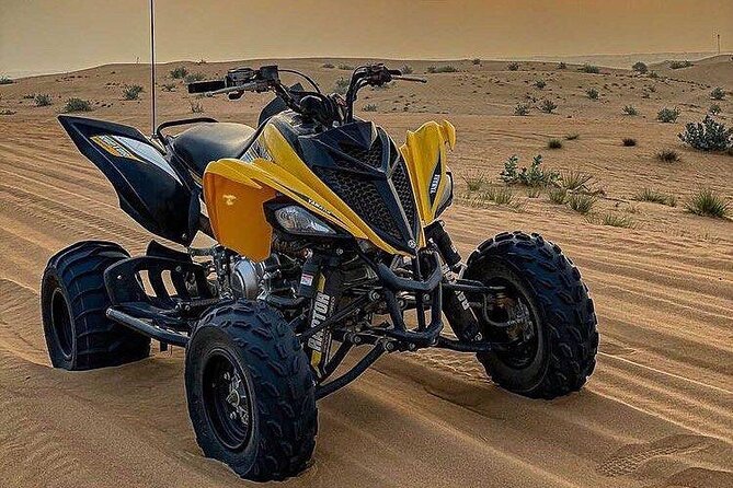 Morning Quad Biking & Red Sand Desert Safari , Camel Ride, Sand Boarding - Camel Ride: A Short Classic That Adds Texture