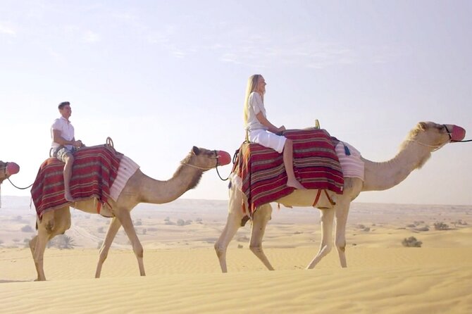 Morning Red Dunes Desert by Quad Bike, Dune Bashing, Camel Ride & Sandboarding - Drinks, timing, and the missing breakfast piece