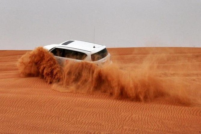 Morning Red Dunes Safari: Quad Biking, Sandboarding & Camel Ride - Camel Ride: Short, Calm, and Purposeful