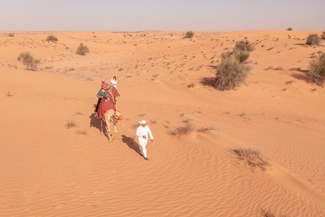 Morning Safari with Camel Ride and Quad Bike Single Seater - Dune Bashing in Red Dunes: Fast, Fun, and a Little Physical