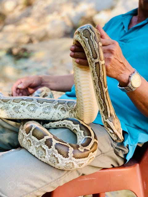 Mui Ne: Sand Dunes Tour On A Private Jeep Including ATV Ride - Fairy Stream: Barefoot Sandals Off, Camera On