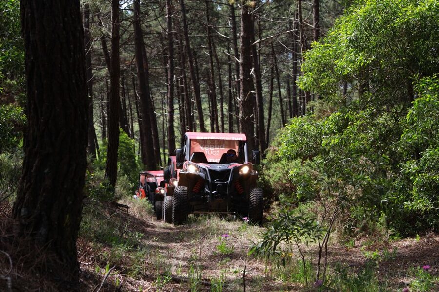 Nazaré: 4x4 Buggy Tour with Guide - FAQ