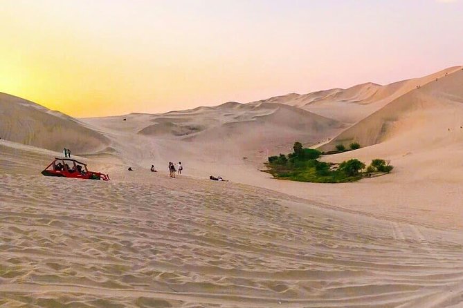 Nazca Lines and Dune Buggy (Huacachina) from Ica - Dune buggy and sandboarding in Huacachina: fast fun with real dust