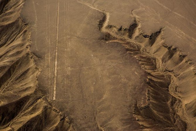 Nazca Lines and Dune Buggy (Huacachina) from Ica - Who this Nazca + Huacachina combo is best for