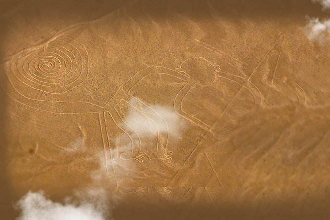 Nazca Lines and Dune Buggy (Huacachina) from Ica - The airport break you’ll be glad they built in