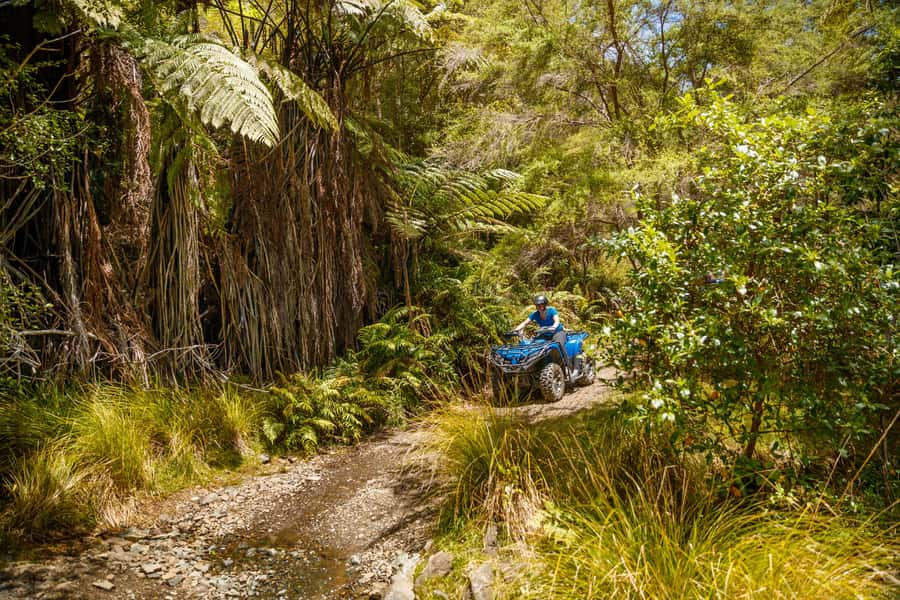 Nelson: Guided Quad Biking Tour Through Forest and Farmland - Who should book this quad biking tour