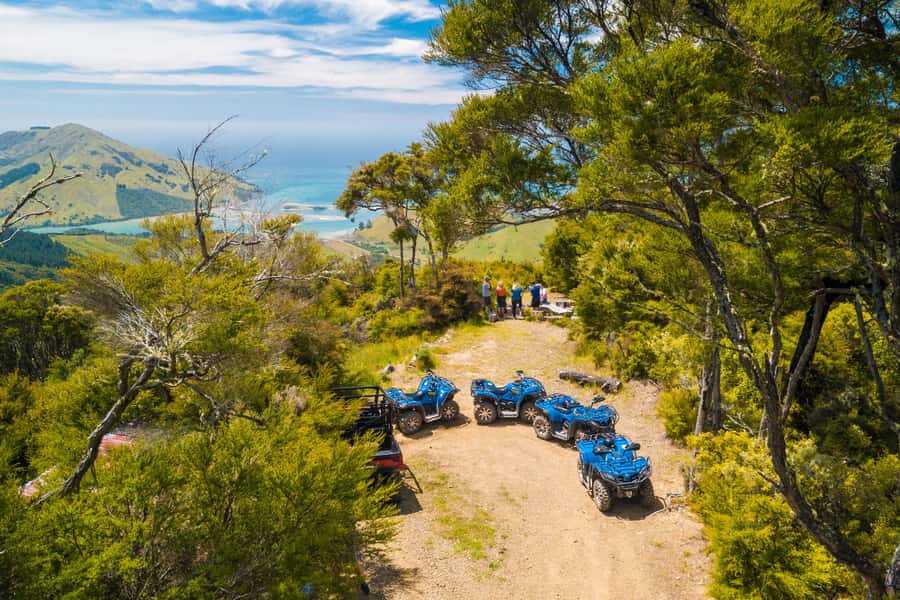 Nelson: Guided Quad Biking Tour Through Forest and Farmland - Entering Cable Bay Adventure Park: training that actually matters