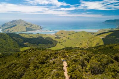 Nelson: Guided Quad Biking Tour Through Forest and Farmland - How the guided quad riding feels: forest, farms, and that coast payoff