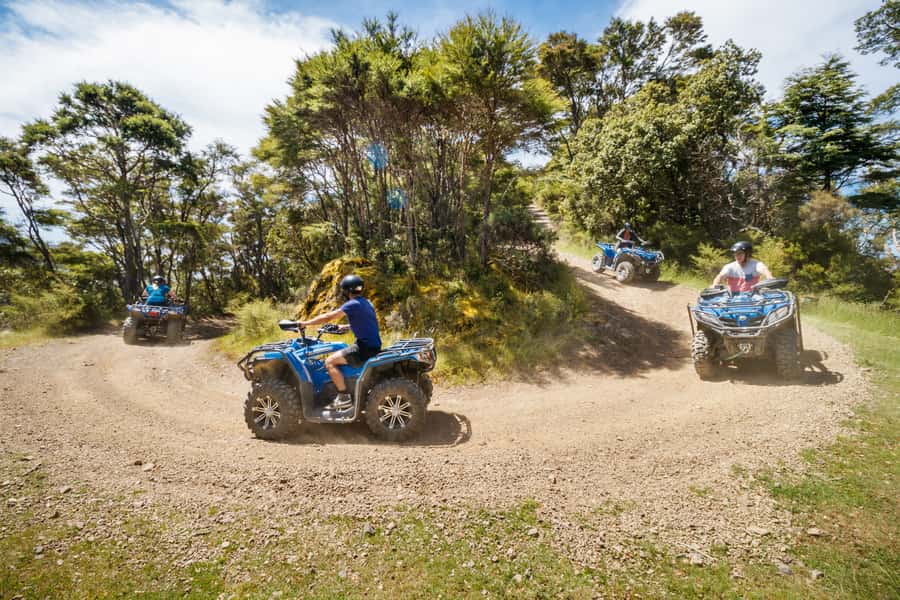 Nelson: Guided Quad Biking Tour Through Forest and Farmland - Bayview Circuit Tour (about 2.5 hours): 14 km of forest trails to Delaware Bay