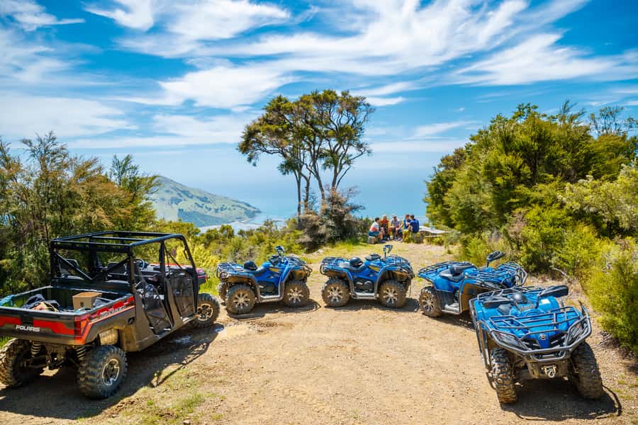 Nelson: Guided Quad Biking Tour Through Forest and Farmland - Stops, photo moments, and what your guide adds to the ride