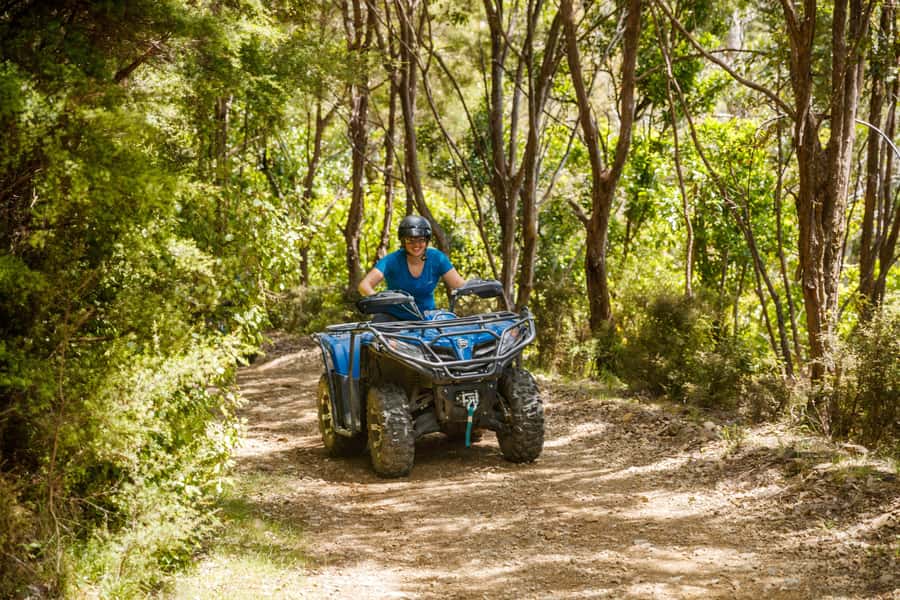 Nelson: Guided Quad Biking Tour Through Forest and Farmland - Weather reality: when the Cable Bay views are strong, and when they’re not