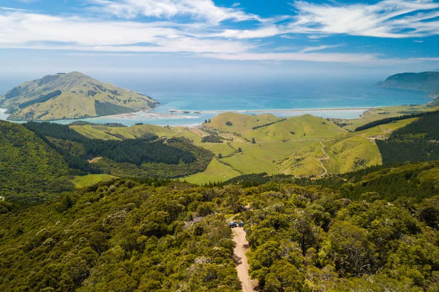 Nelson: Guided Quad Biking Tour Through Forest and Farmland - How the guided quad riding feels: forest, farms, and that coast payoff