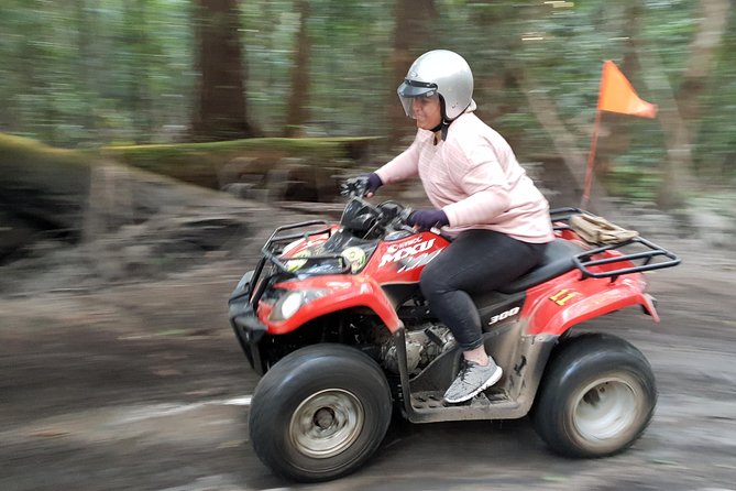 Noosa Quad Bike Tours - Rock pools and a snack: the best built-in break