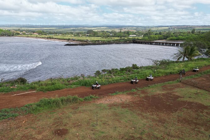 Oahu Beachfront ATV Adventure and Farm Tour - The animal-ohana factor: goats, pigs, and the farm’s daily rhythm