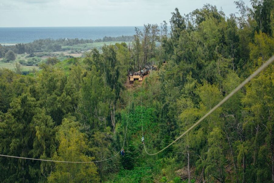 Oahu: North Shore Zip Line Adventure with ATV and Farm Tour - Price and Value: Is $251 Worth It for 150 Minutes?