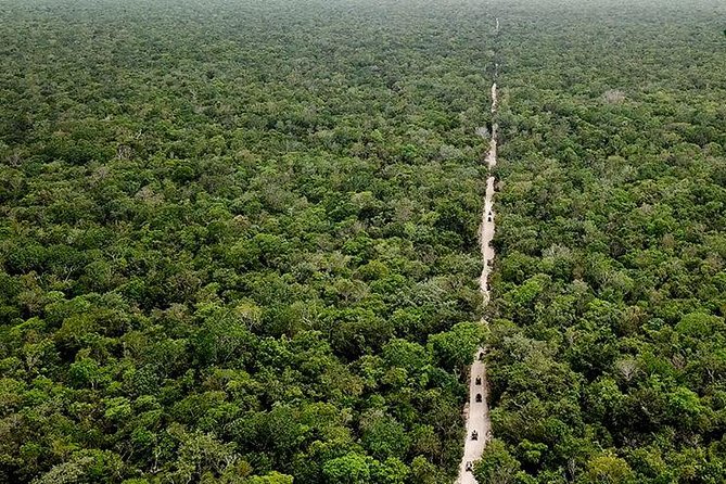 Off Road ATV Tour at the Akumal Monkey Rescued Animals Sanctuary - Photos, Lockers, and Small Costs That Can Sneak Up