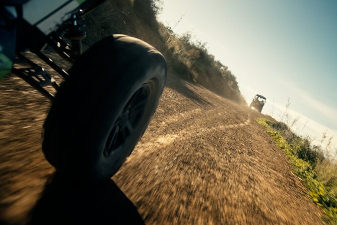 Off-road buggy tour Sierra de Mijas buggy 1h - Key highlights to know before you go