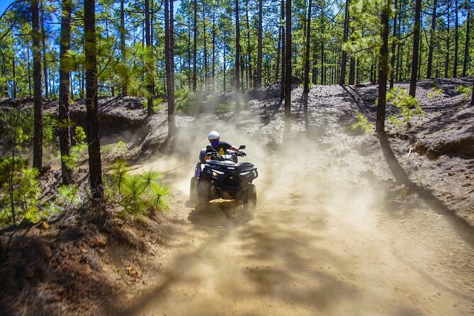 Off-Road Quad Tour from Woodlands to Volcanic Heights - Key highlights you should know before you go