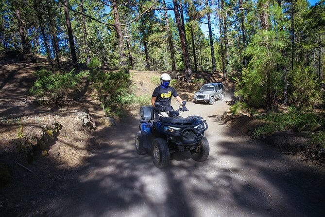 Off-Road Quad Tour from Woodlands to Volcanic Heights - The Teide forest crown ride: what it’s really like