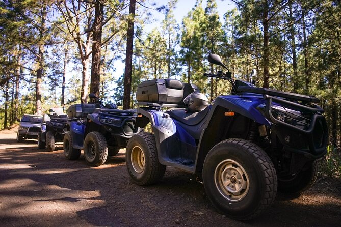 Off-Road Quad Tour from Woodlands to Volcanic Heights - Dust and expectations: what to wear and how intense it is