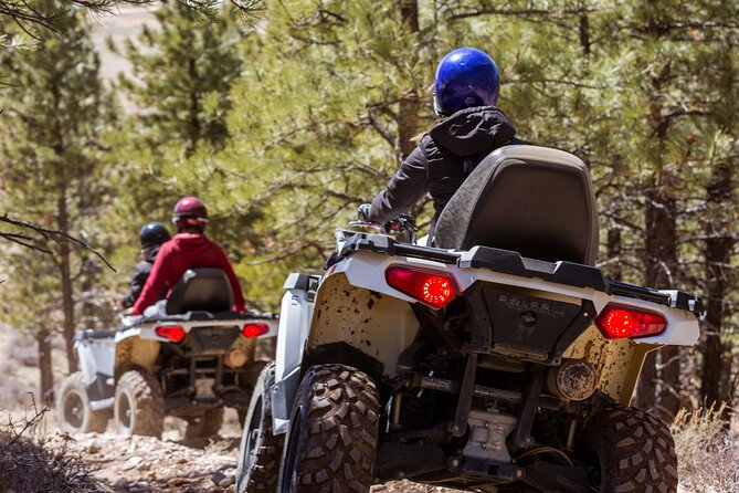 One Hour Guided ATV Ride in Utah - The ride’s core: rugged trails with built-in stops