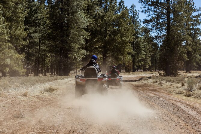 One Hour Guided ATV Ride in Utah - Wildlife and photo moments: common sightings on the route