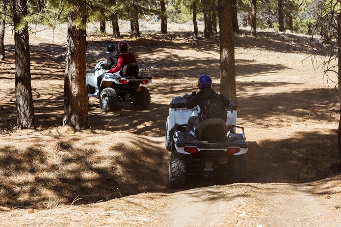 One Hour Guided ATV Ride in Utah - Skill level and “all levels” reality check