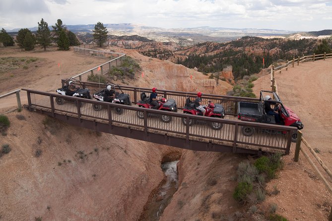 One Hour Guided ATV Ride in Utah - The first stretch: ponderosa pine trails and getting comfortable