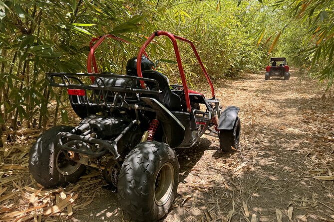 Orlando Dune Buggy Tour - Orlando Dune Buggy Basics: What You’re Really Buying