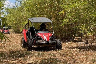 Orlando: Dune Buggy Tour - Price and What $89 Buys You (Really)