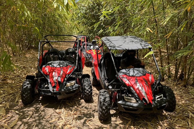 Orlando Dune Buggy Tour - How Much Driving Time You’ll Actually Get